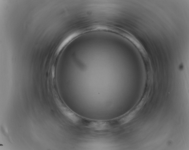 X0000092111198200709191321