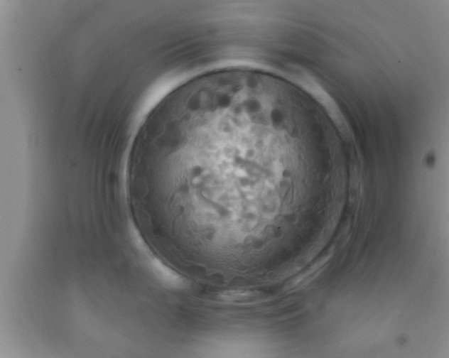 X0000092111199200709191321