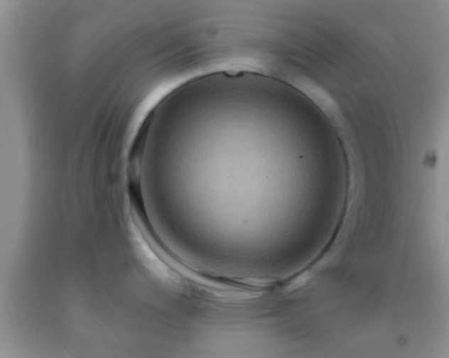 X0000092111200200709191321