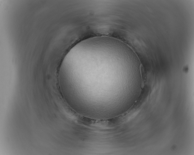 X0000092111201200709191321