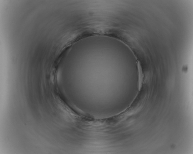 X0000092111202200709191321