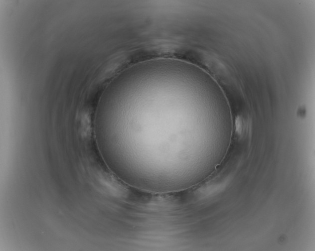 X0000092111203200709191321