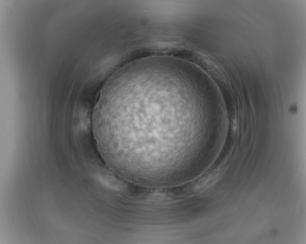 X0000092111204200709191321