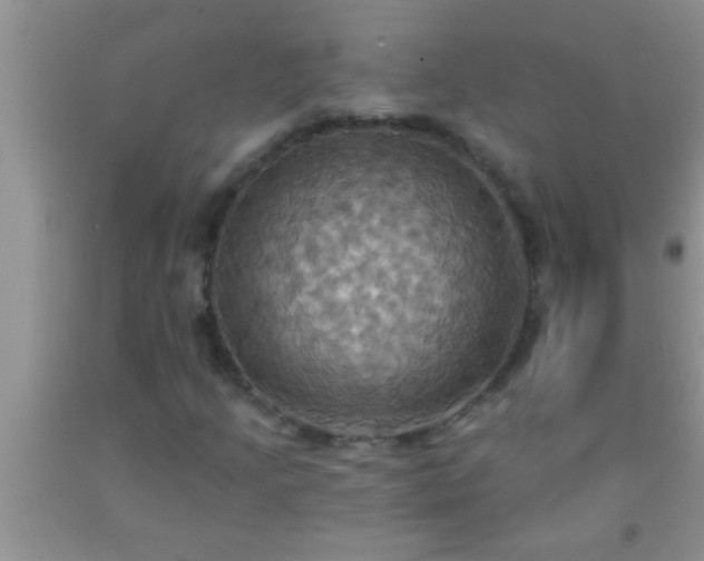 X0000092111205200709191321