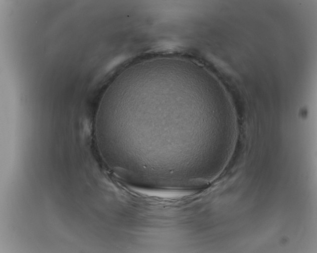 X0000092111206200709191321