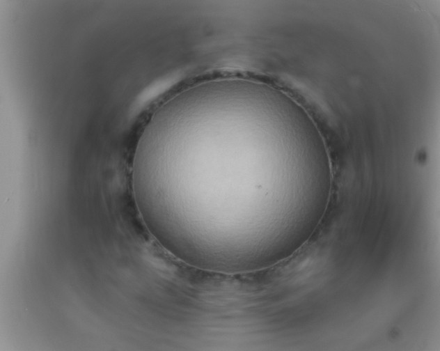 X0000092111207200709191321