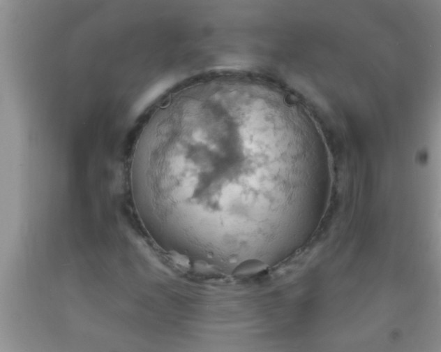 X0000092111208200709191321