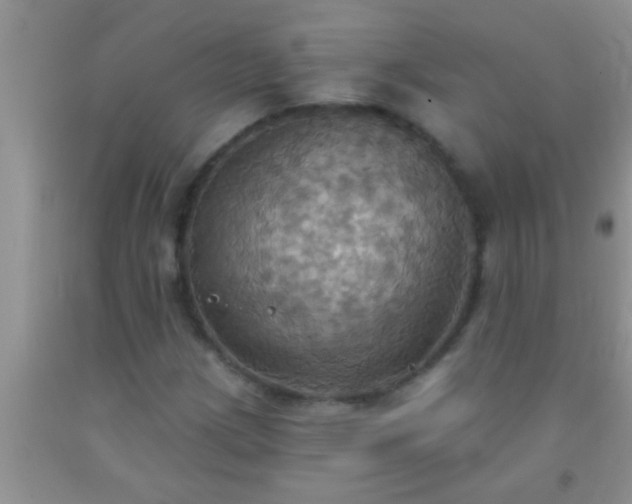 X0000092111209200709191321