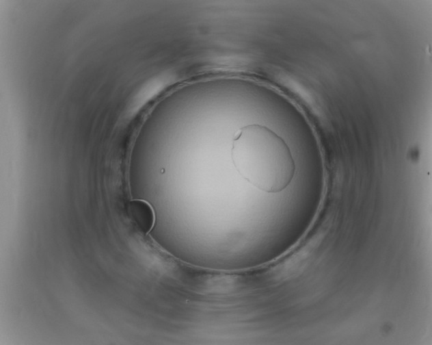 X0000092111211200709191321