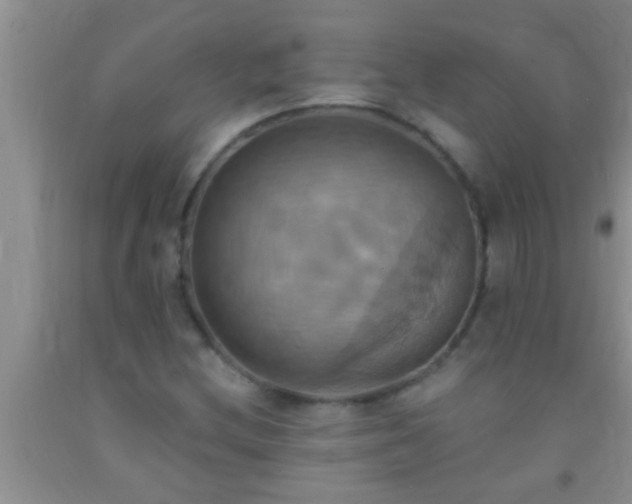 X0000092111212200709191321