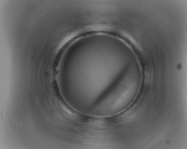 X0000092111213200709191321