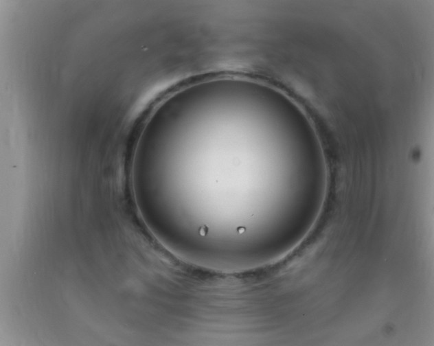 X0000092111214200709191321