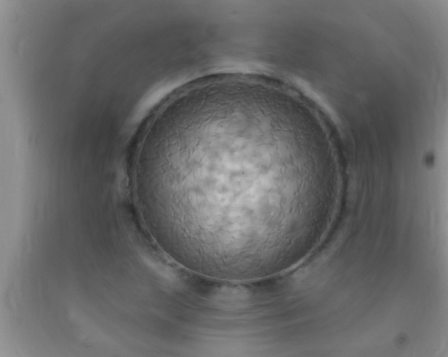 X0000092111215200709191321