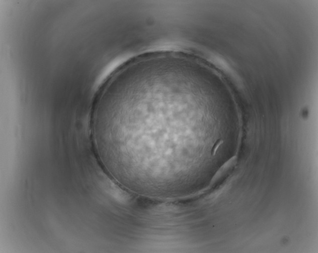 X0000092111216200709191321