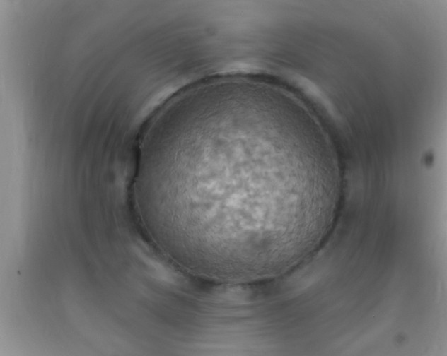 X0000092111217200709191321