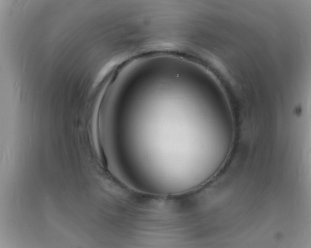 X0000092111218200709191321