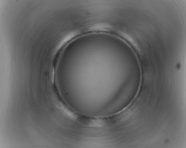 X0000092111219200709191321