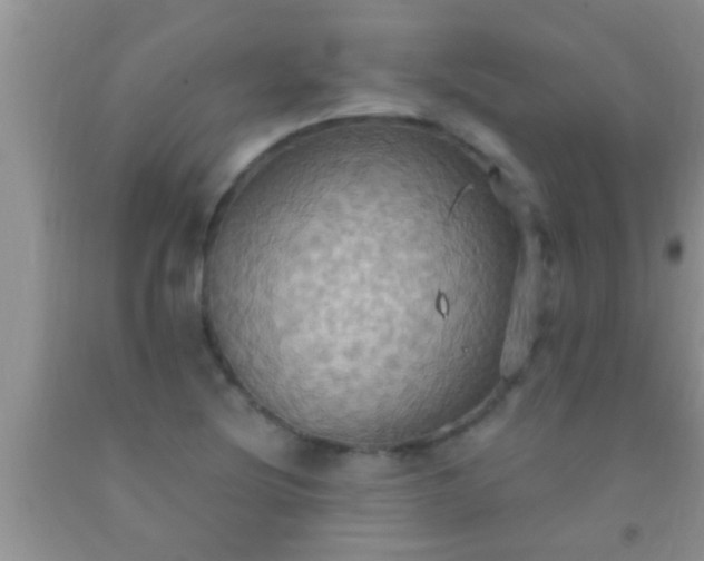 X0000092111220200709191321