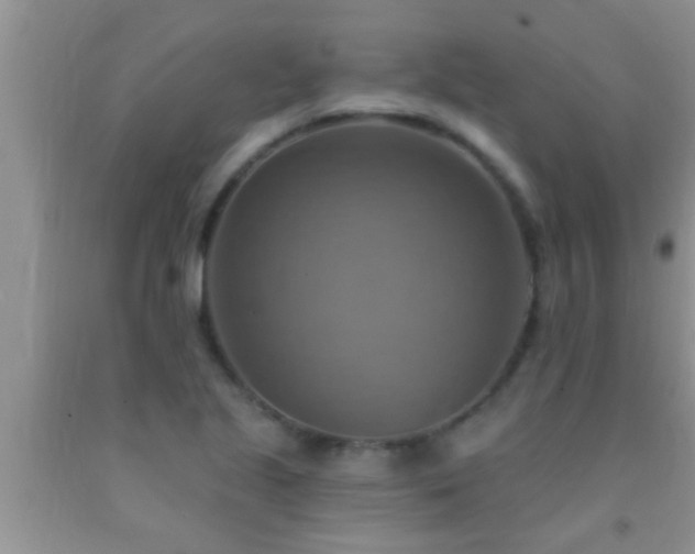 X0000092111221200709191321