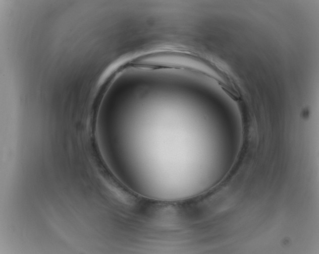 X0000092111222200709191321