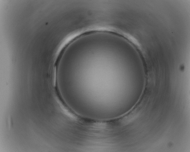 X0000092111223200709191321