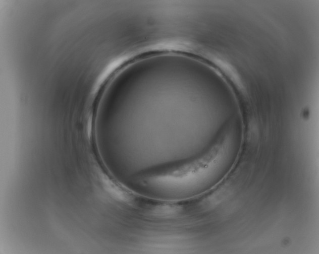 X0000092111224200709191321