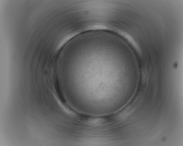 X0000092111225200709191321