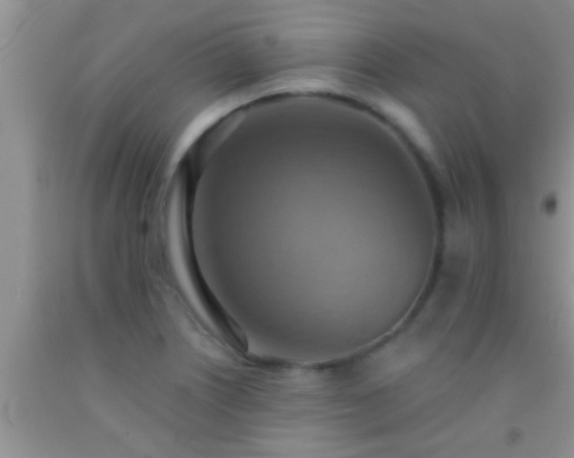 X0000092111226200709191321