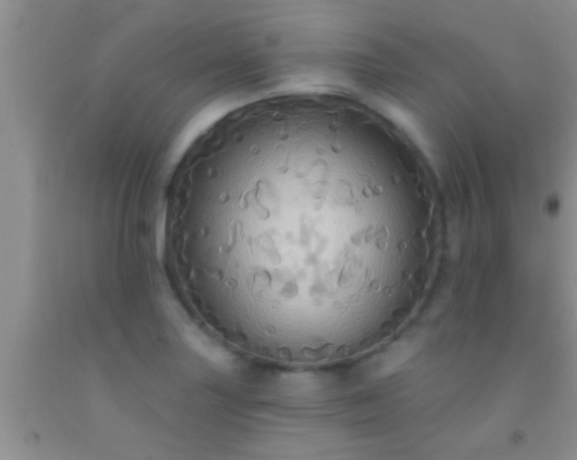 X0000092111227200709191321