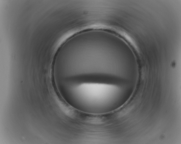 X0000092111229200709191321