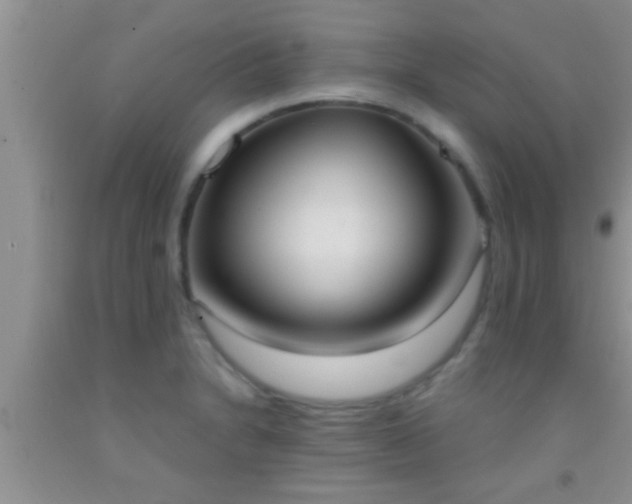 X0000092111230200709191321