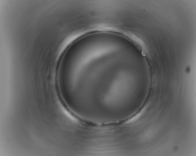 X0000092111231200709191321