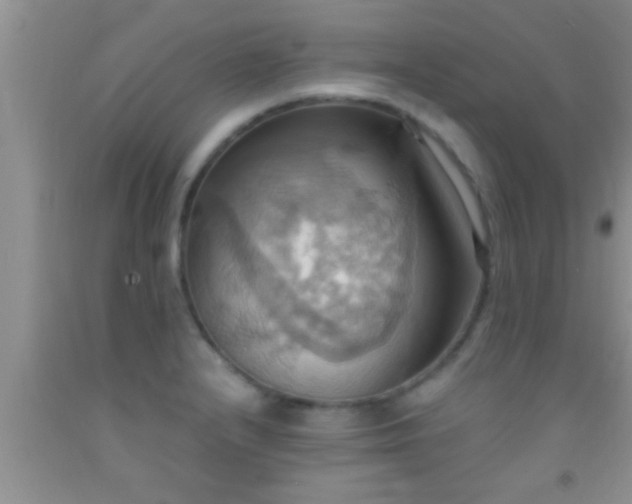 X0000092111232200709191321