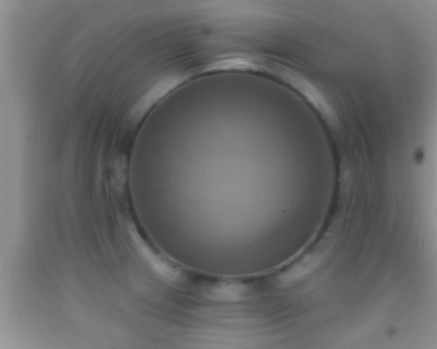 X0000092111233200709191321