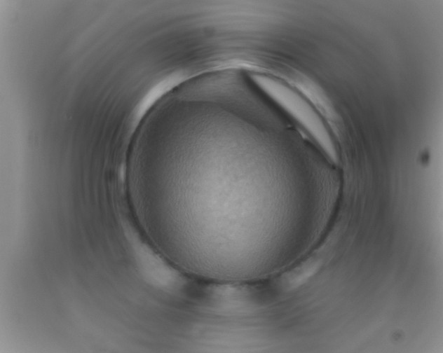 X0000092111234200709191321