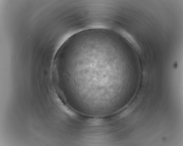 X0000092111236200709191321