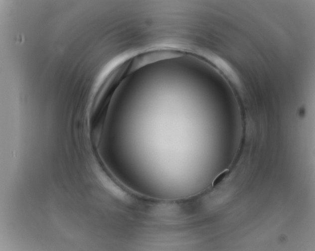 X0000092111238200709191321