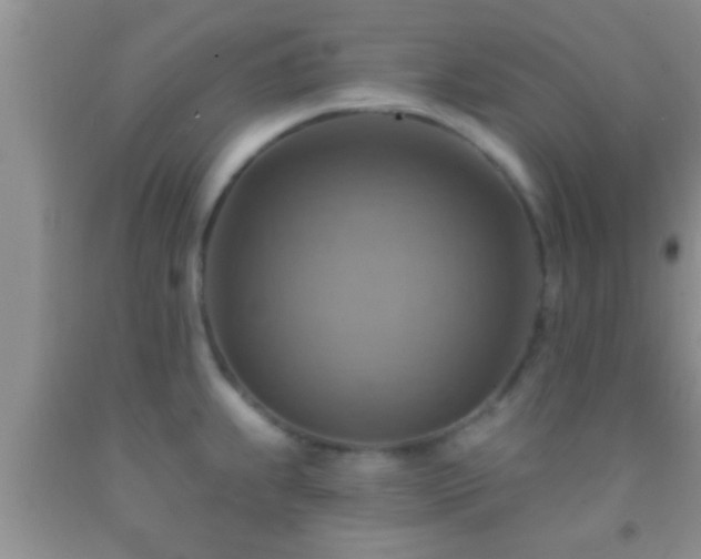 X0000092111239200709191321