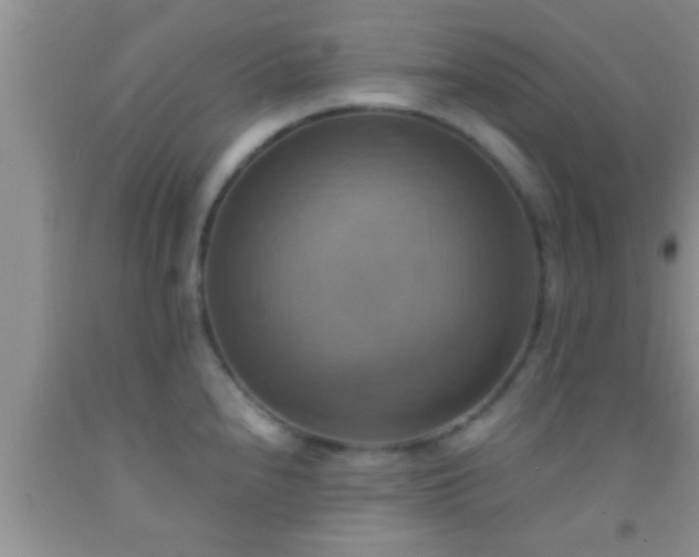 X0000092111240200709191321