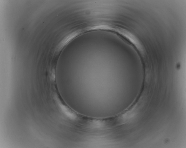 X0000092111241200709191321