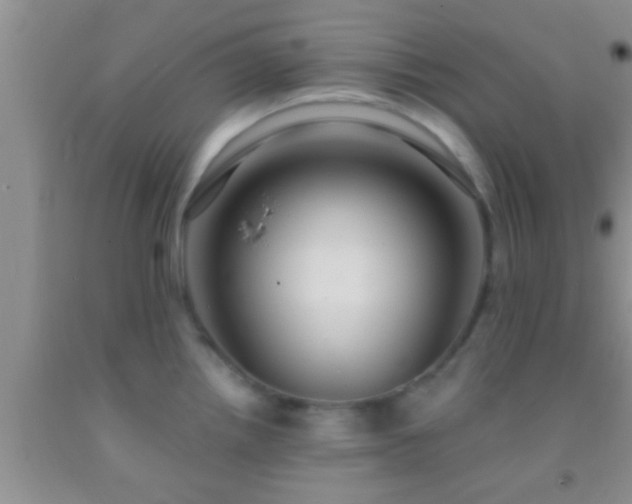 X0000092111242200709191321