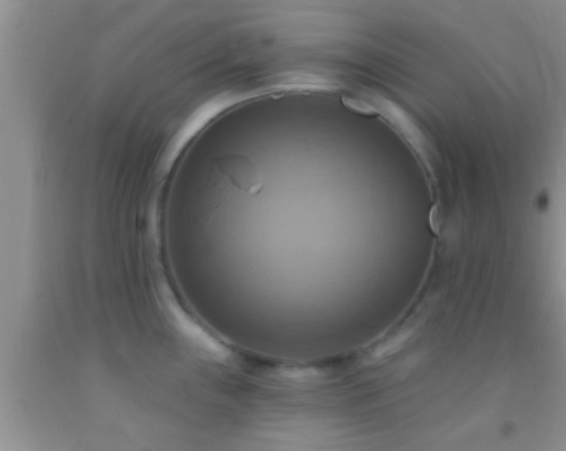 X0000092111243200709191321