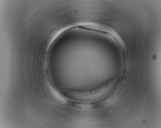 X0000092111244200709191321