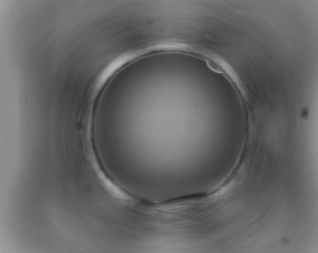 X0000092111245200709191321