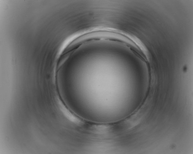 X0000092111246200709191321