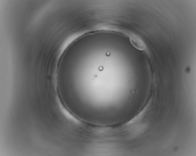 X0000092111247200709191321