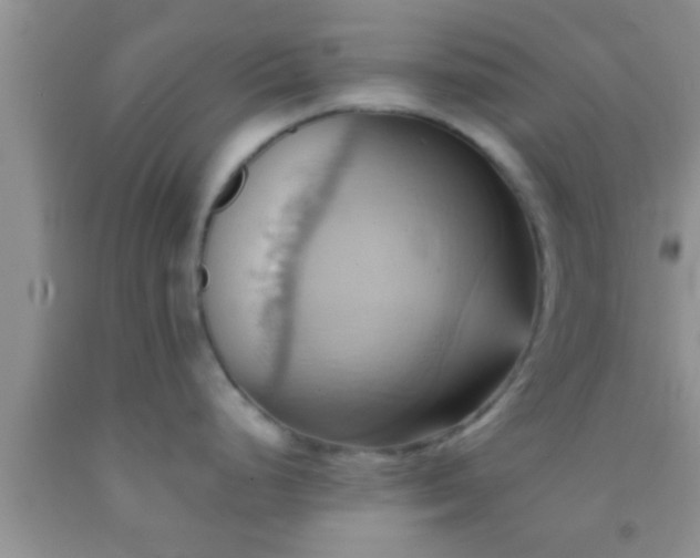 X0000092111248200709191321