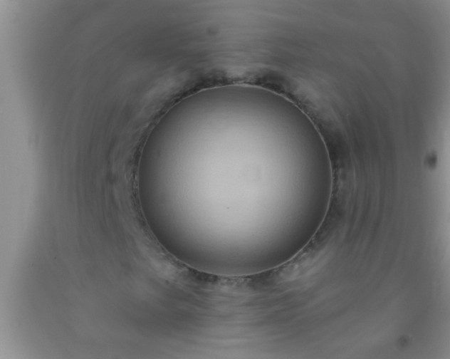 X0000092111249200709191321