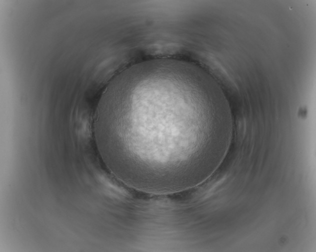 X0000092111250200709191321