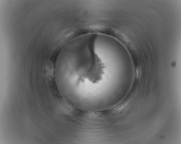 X0000092111251200709191321